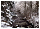 Nature & Landscape Photos 24