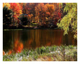 Nature & Landscape Photos 34