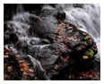 Nature & Landscape Photos 61
