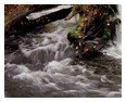 Nature & Landscape Photos 84