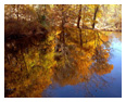 Nature & Landscape Photos 92