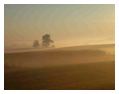 Nature & Landscape Photos 101