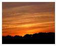 Nature & Landscape Photos 121